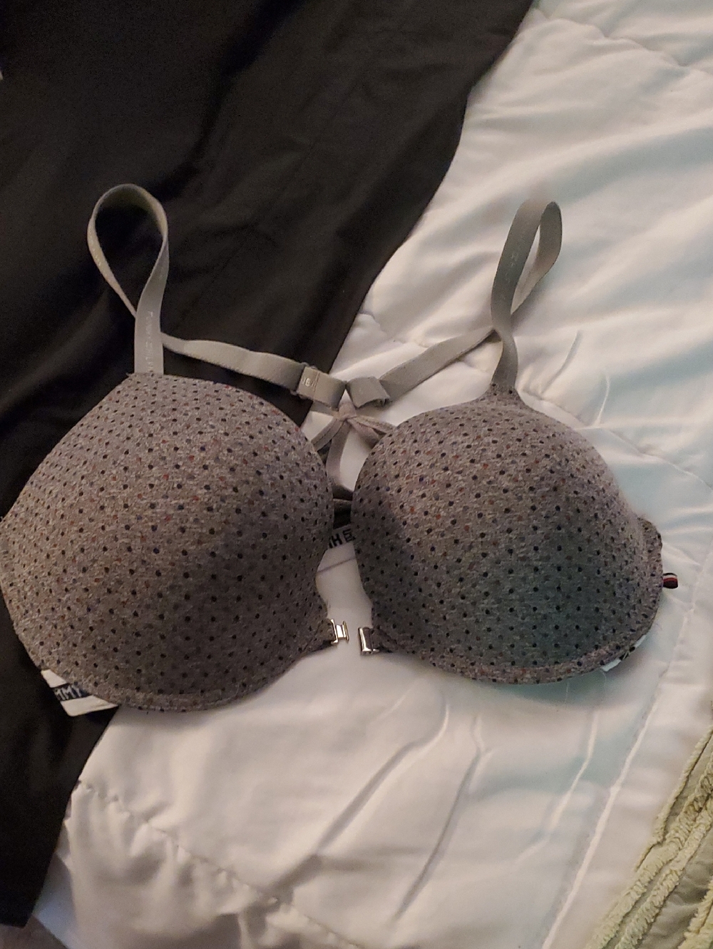 Everyday Gray Padded Women's Bra - Comfortable Support T Back